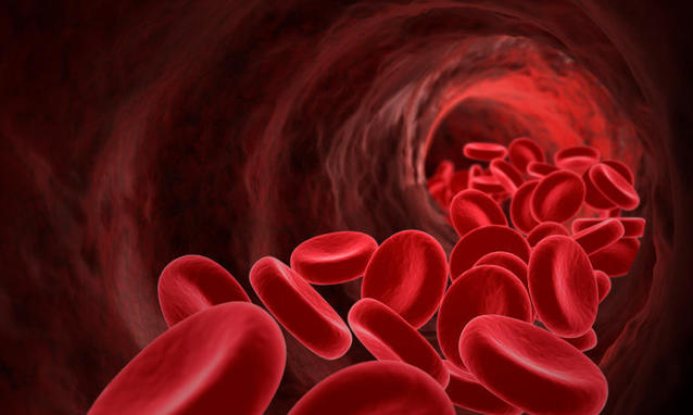 Il sangue